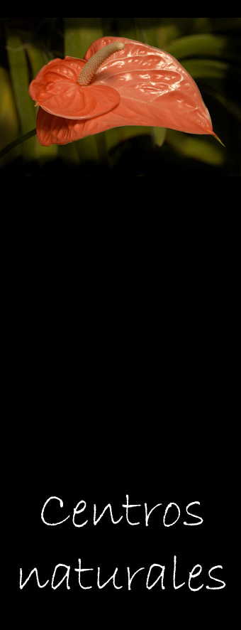 Centros naturales