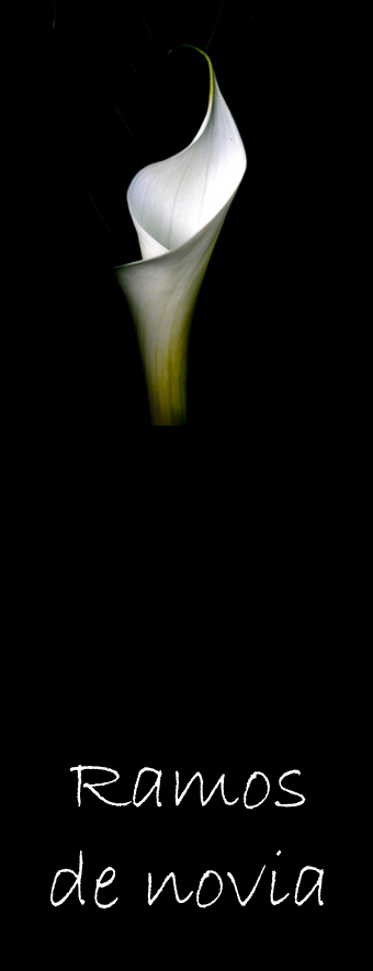 Ramos de novia