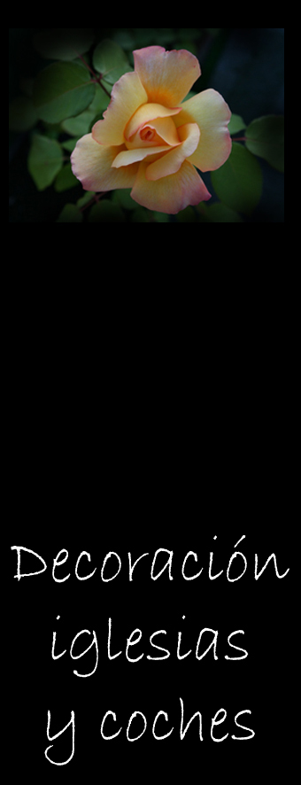Decoraci&oacute;n de iglesias y coches de boda