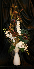 Anthurium y orquideas