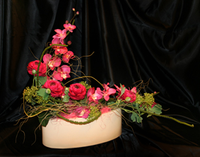 Orqu&iacute;deas y francesillas